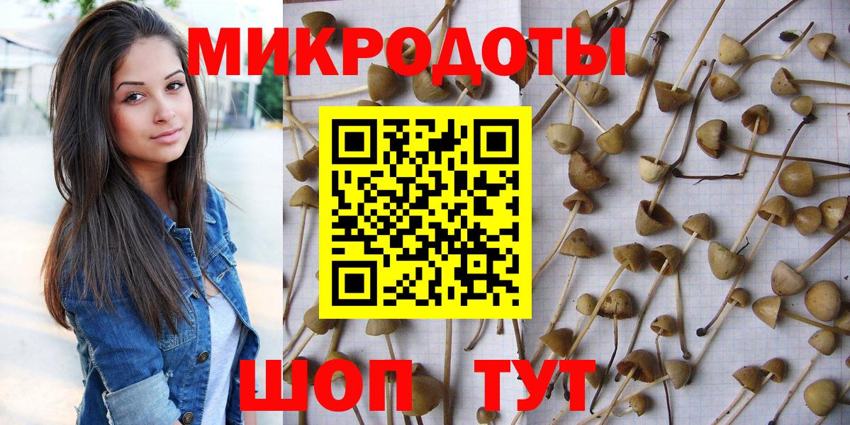 Псилоцибиновые грибы мицелий  Вход с VPN  Псилоцибиновые грибы мицелий  Кашира 